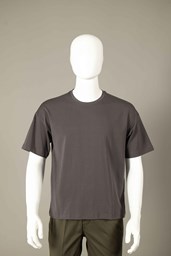 _1104223 Ảnh của Áo T-Shirt Nam ngắn tay - 238TSS22134