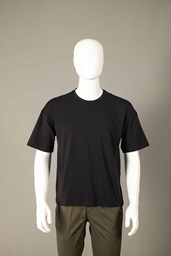 _1104226 Ảnh của Áo T-Shirt Nam ngắn tay - 238TSS22134